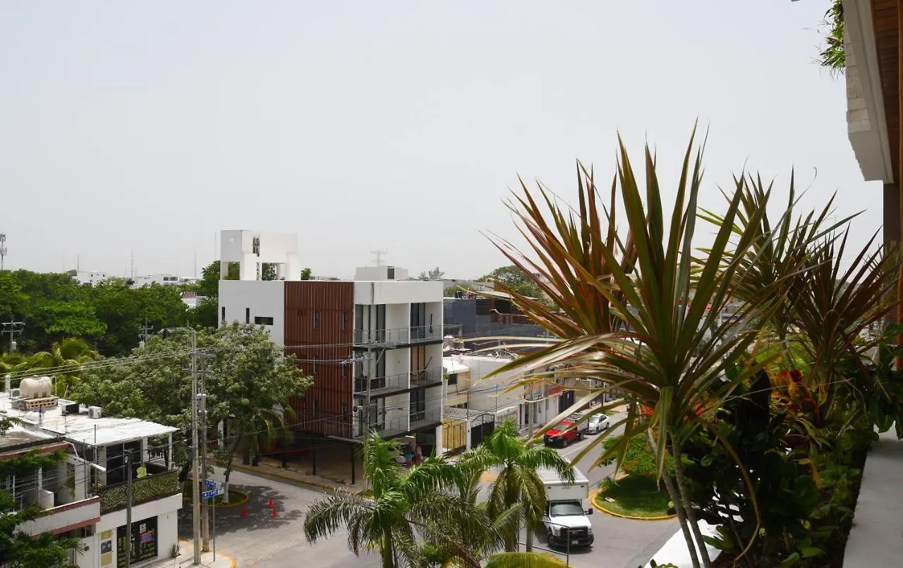 Suites Calle 38 Πλάγια Ντελ Κάρμεν Διαμέρισμα