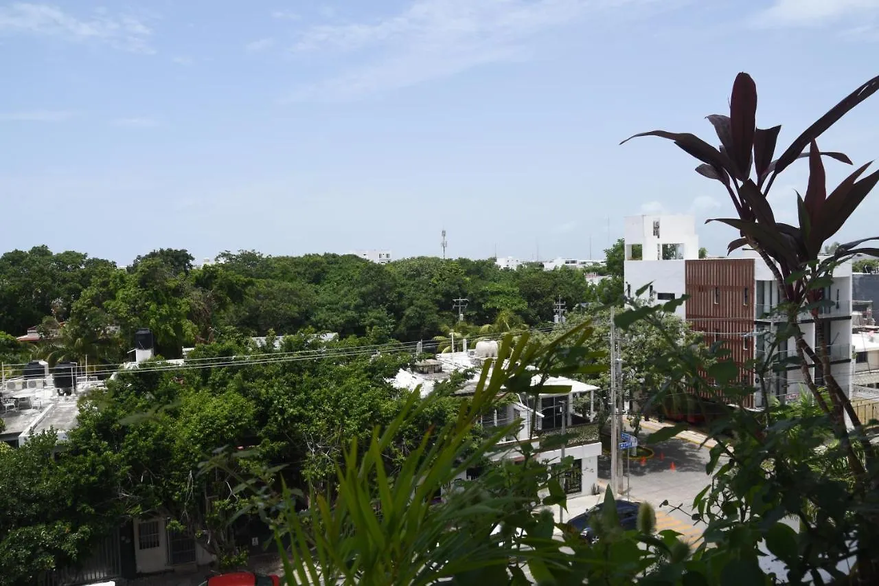 Διαμέρισμα Suites Calle 38 Πλάγια Ντελ Κάρμεν