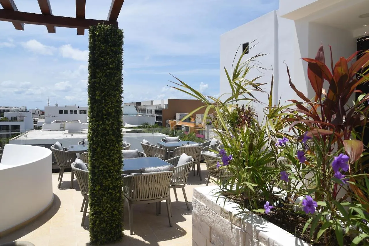 Suites Calle 38 Πλάγια Ντελ Κάρμεν 0*,