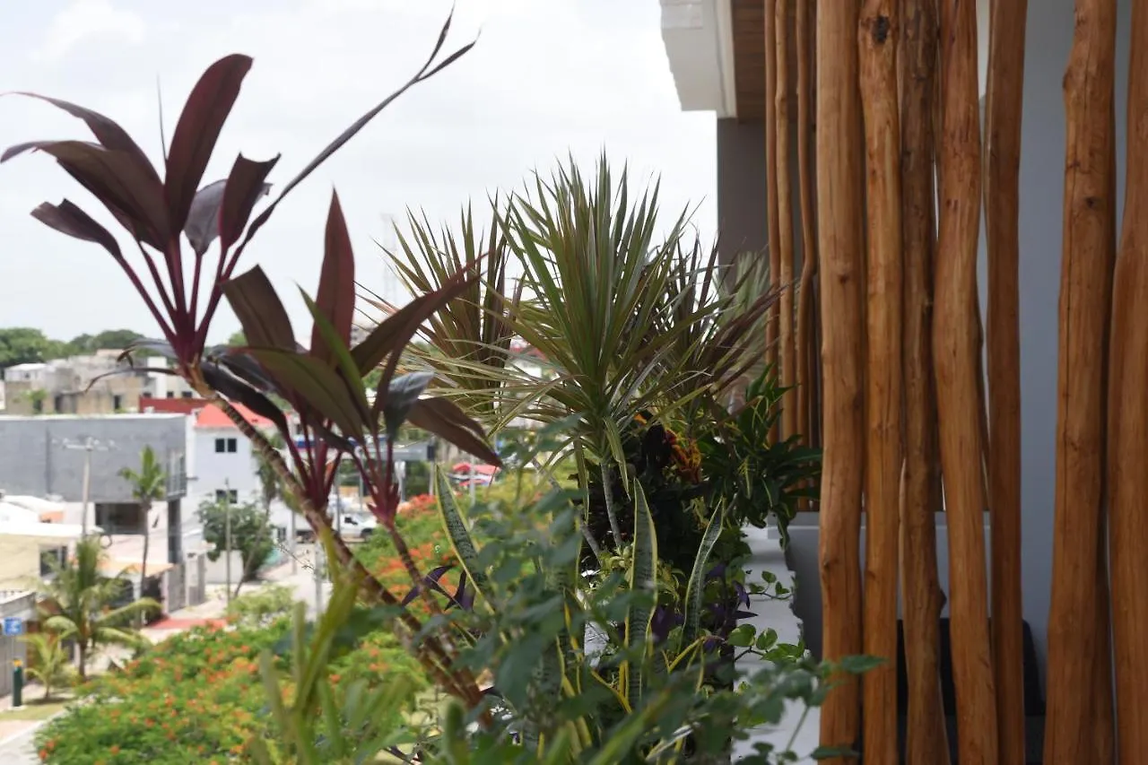 Διαμέρισμα Suites Calle 38 Πλάγια Ντελ Κάρμεν