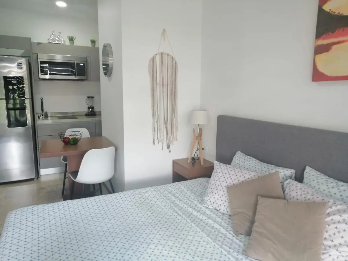 Suites Calle 38 Πλάγια Ντελ Κάρμεν 0*,