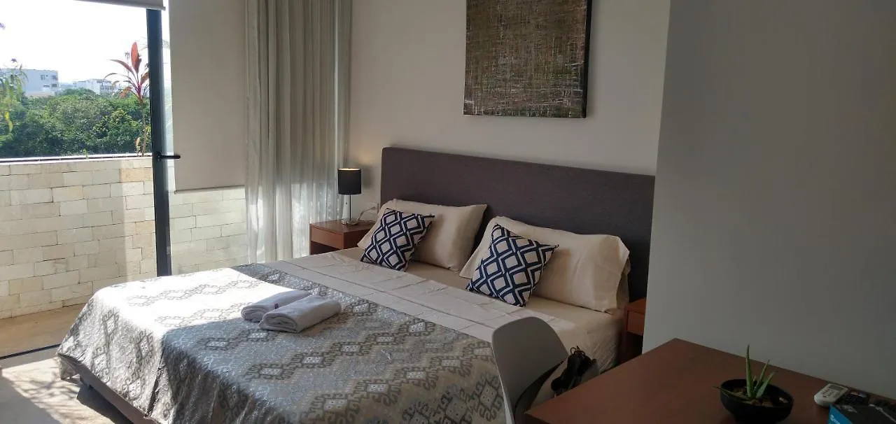 Suites Calle 38 Πλάγια Ντελ Κάρμεν Μεξικό