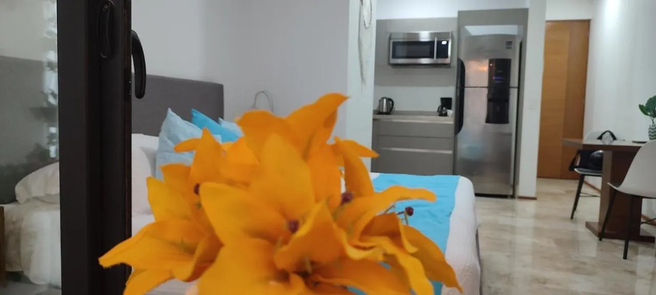 Διαμέρισμα Suites Calle 38 Πλάγια Ντελ Κάρμεν Μεξικό