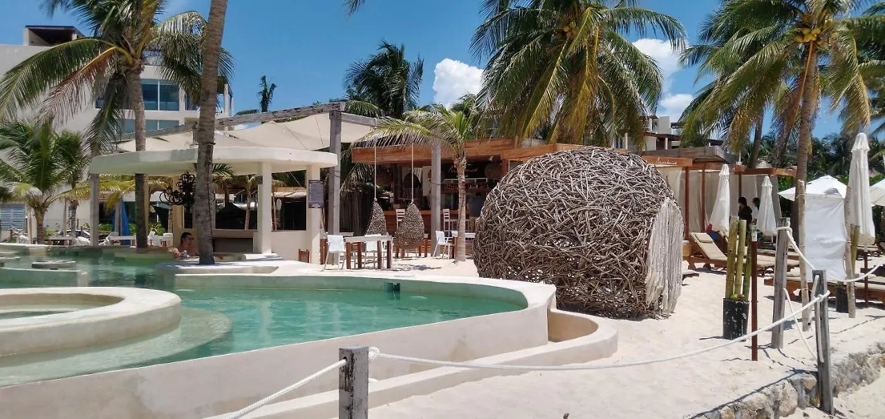 Suites Calle 38 Playa del Carmen Apartamento